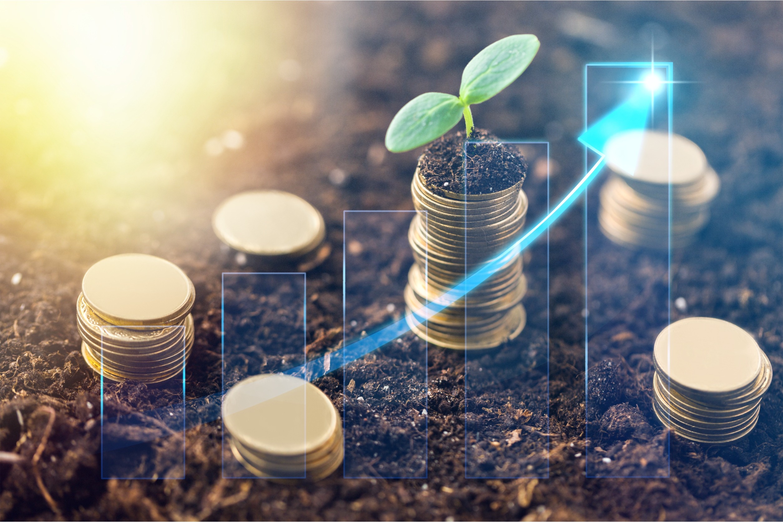 revenue management and sustainability